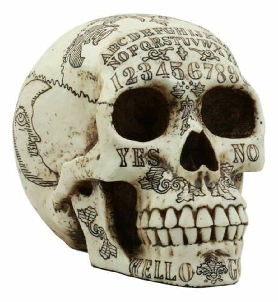 skull of law skull of law