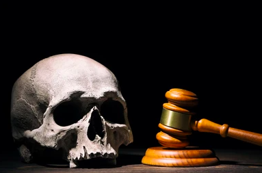 skull of law skull of law